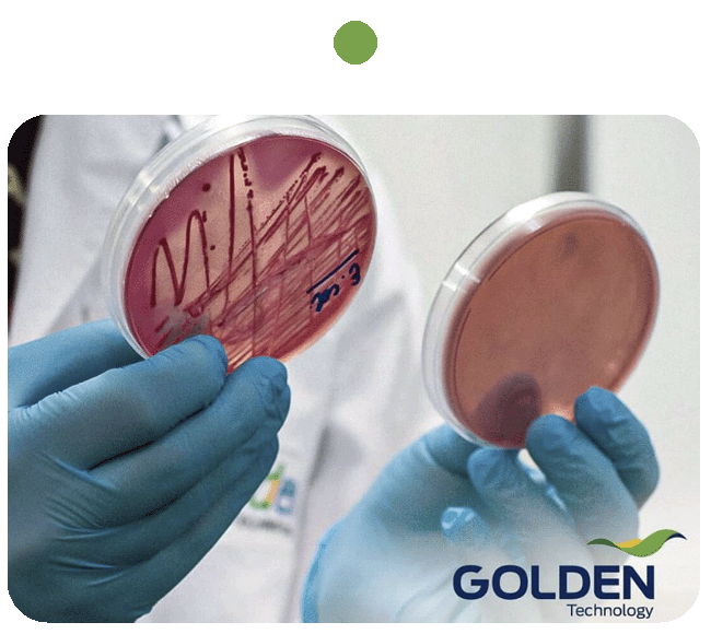 2015  Foundation of its own Research Laboratory in Microbiology (CEAM) in association with UNIVAP, in São José dos Campos.